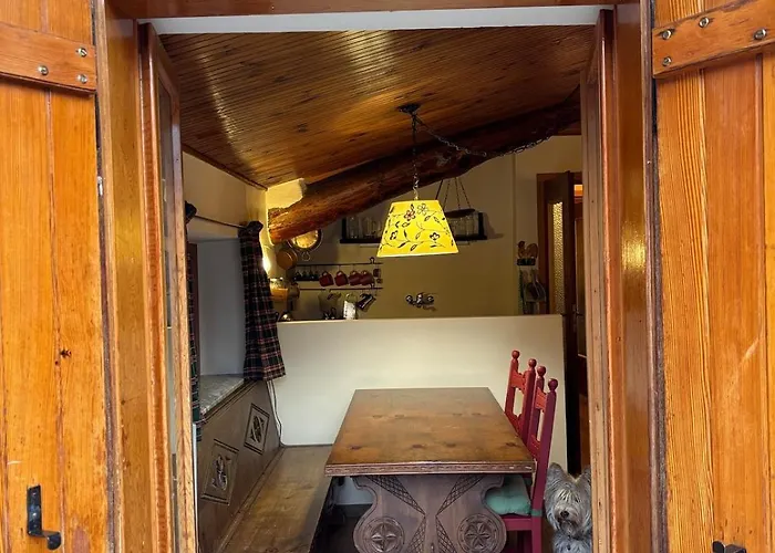 Al Profilo Di Napoleone *