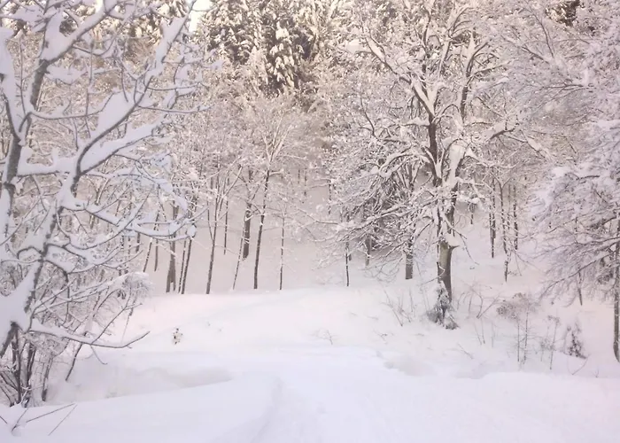 Appartamento Al Profilo Di Napoleone
